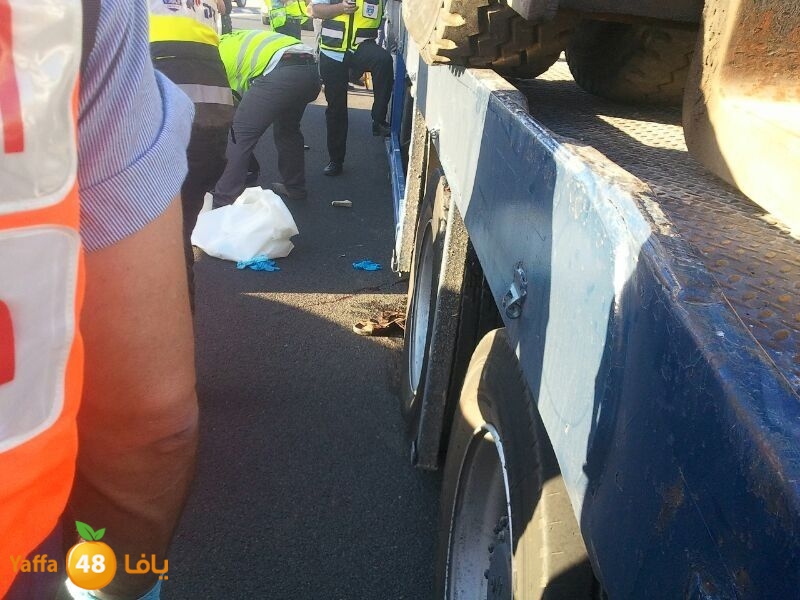 sha7enaramlalud527 (9).jpg